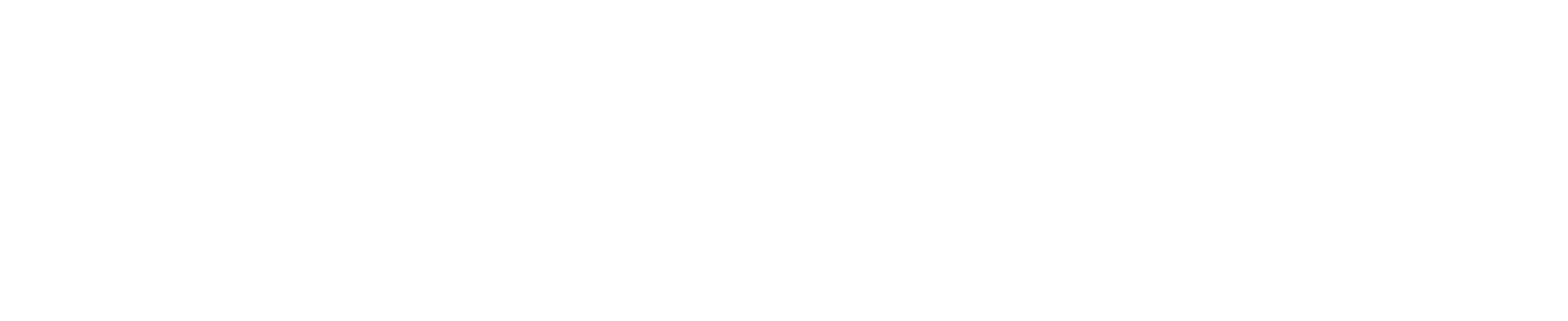 WordPress logotype standard white new
